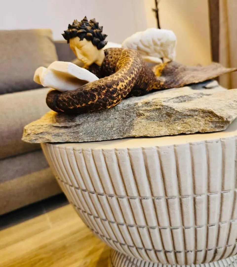 C Suites Mykonos Mykonos Town ゲストハウス