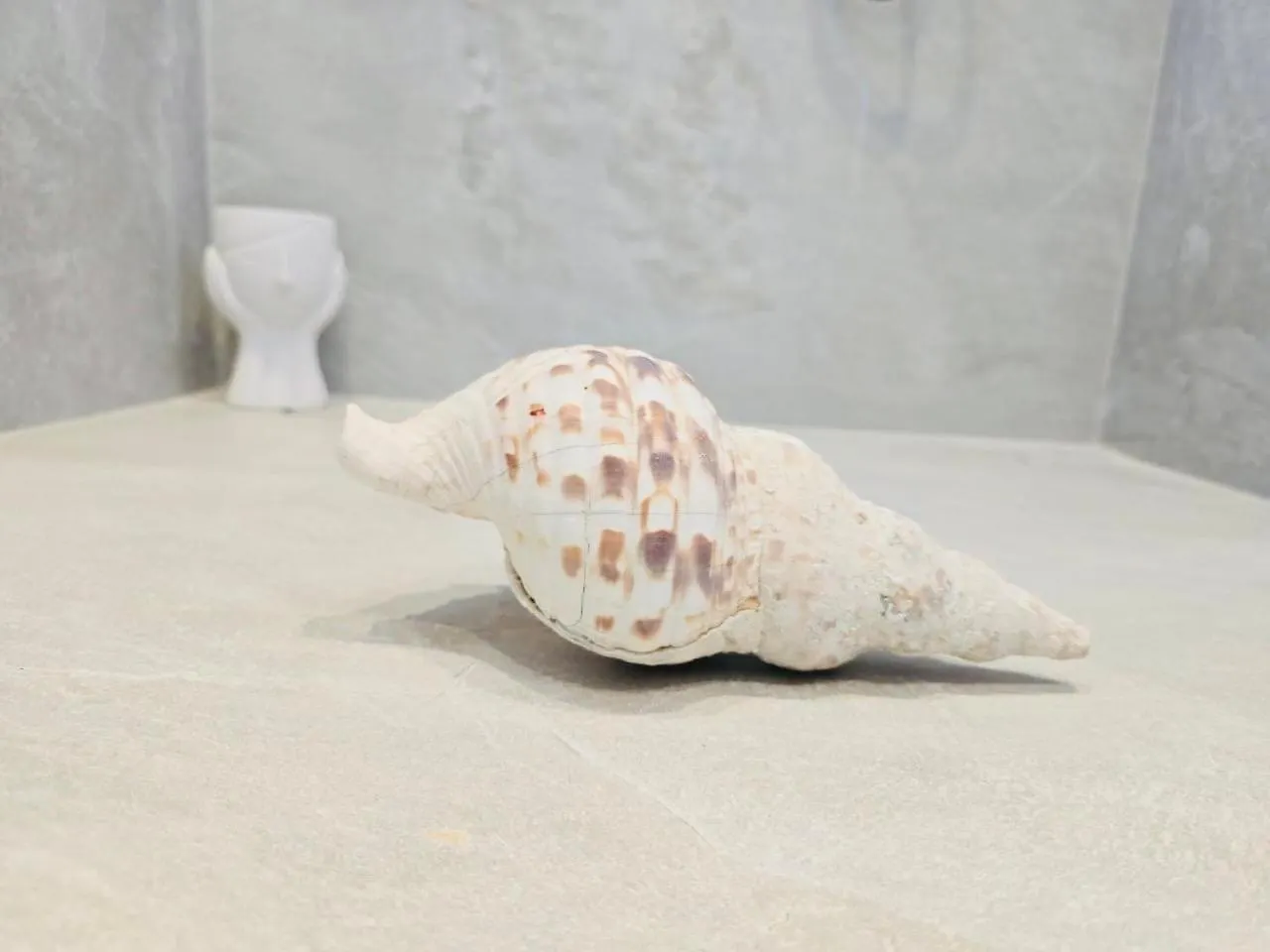 ゲストハウス C Suites Mykonos Mykonos Town ギリシャ